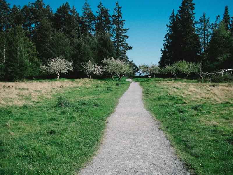 失业文学家<br>sybmuzg.cn 低保户写作班